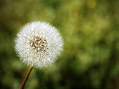  普洱特殊教育学校招生简章 