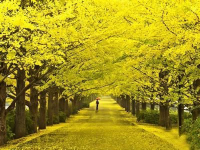  泸州市四川省泸州市实验中学高三复读收费标准 